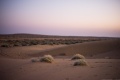 Tumblr mh6urcM0Wc1s2d2cao1 1280.jpg